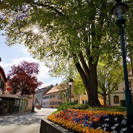 Hotel apartamentowy Goldener Hahn