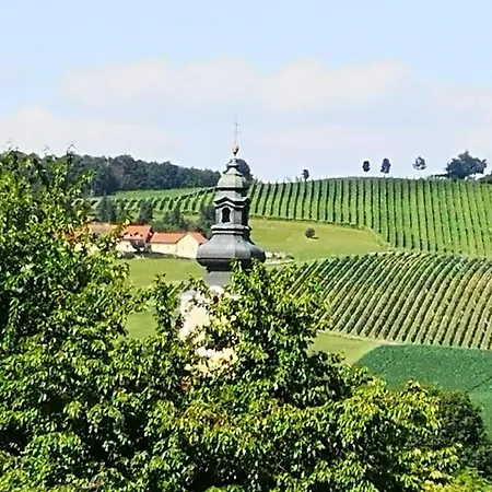 Goldener Hahn Aparthotel