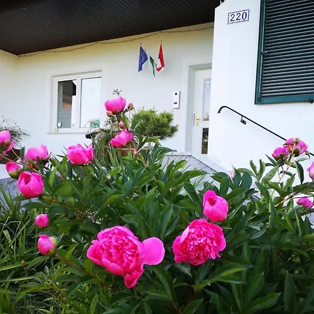 Apart Otel Goldener Hahn Bad Waltersdorf