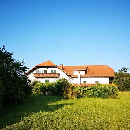 Goldener Hahn Apart Otel 3*