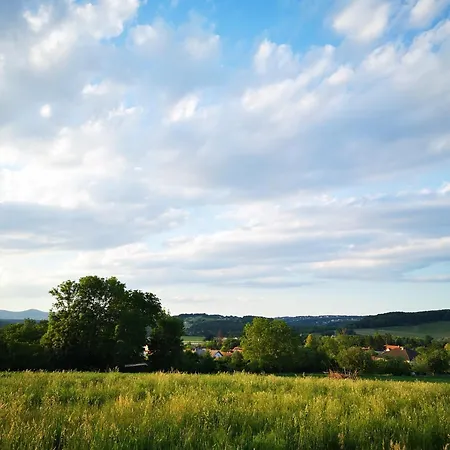 Goldener Hahn Aparthotel